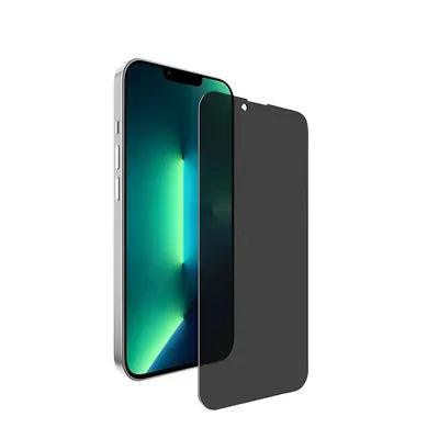 iPhone X XS Privacy Panzerglas/Schutzfolie